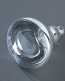 REFLECTOR LAMPS FOR OUTDOOR USE